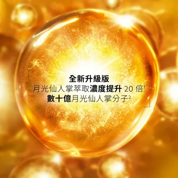 YSL 夜間修復精華 - Image 3