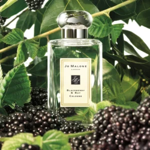 JO MALONE Blackberry & Bay Cologne  黑莓子與月桂葉