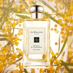 JO MALONE Mimosa & Cardamom Cologne  含羞草與小荳蔻
